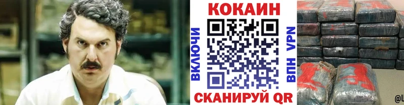 КОКАИН Fish Scale  сколько стоит  маркетплейс Telegram  Сясьстрой 
